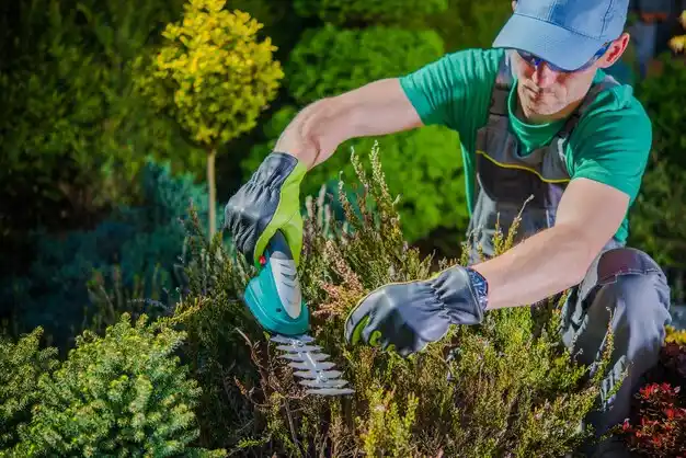landscaping services Normandy
